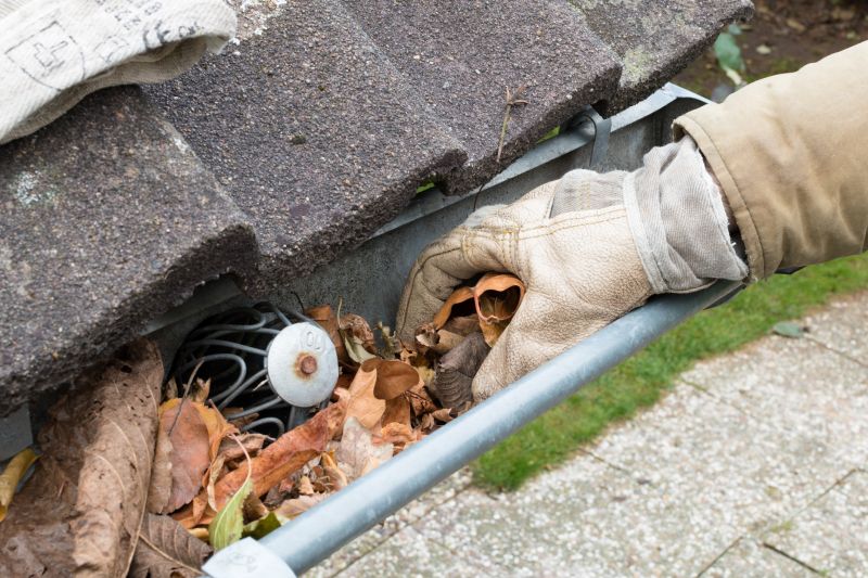 Clean Gutters with Covers